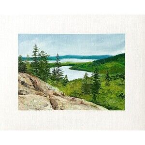 8x10 Maine Original Oil Painting Acadia Pine Tree Cadillac Mountain Rocks Signed